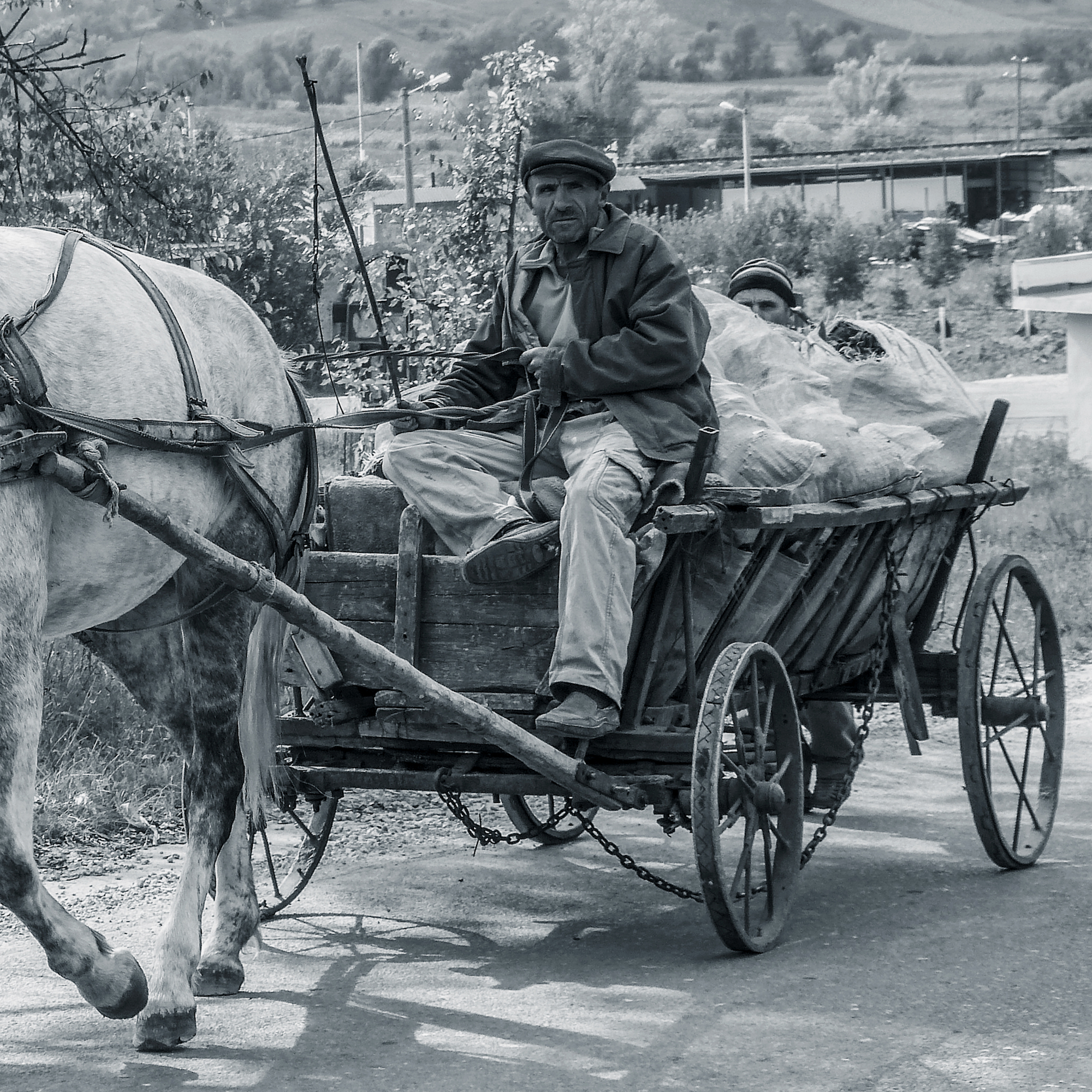 Bonazzi Filippo - Velocità e movimento, connessione del digitale e del tempo: sintesi